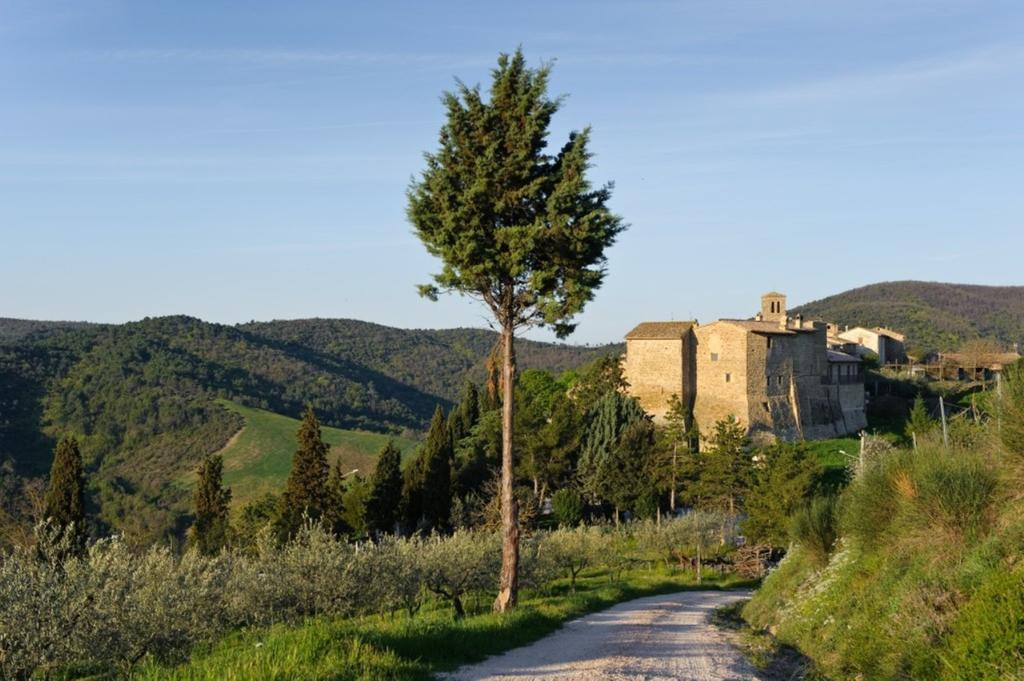 Umbria Nel Cuore Cannara Екстер'єр фото